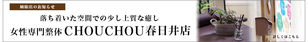 シュシュ春日井店